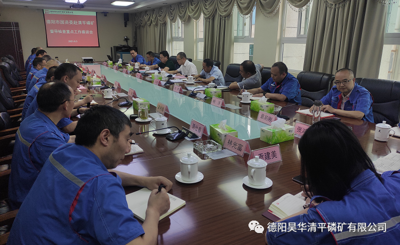 市國(guó)資委黨委書(shū)記、主任張 滔一行赴公司督導(dǎo)檢查