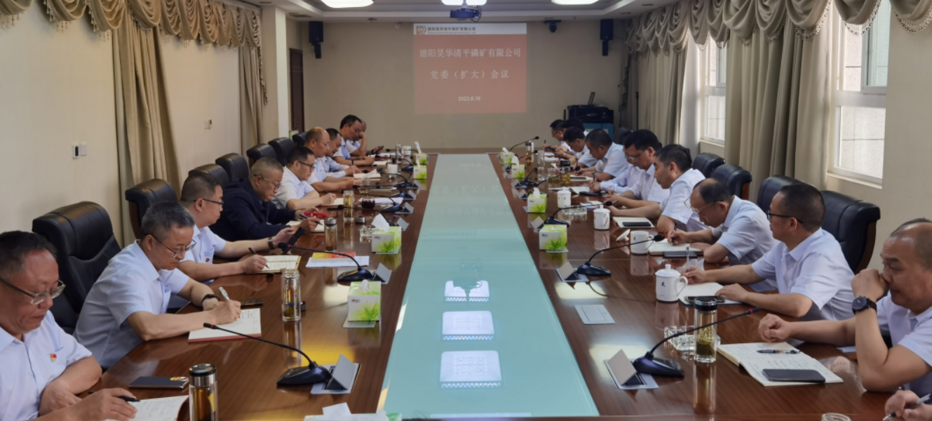 公司召開(kāi)黨委理論中心組學(xué)習(xí)暨黨委（擴(kuò)大）會(huì)議